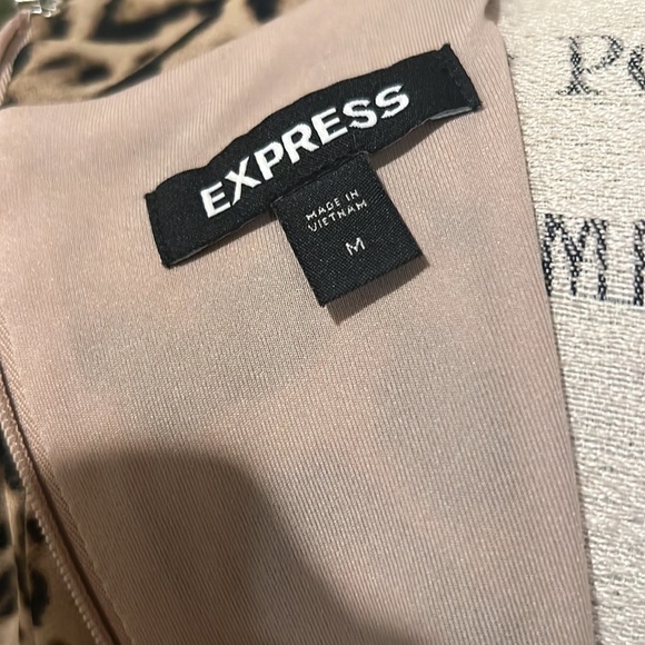 Express Leopard Dress - Picture 5 of 5